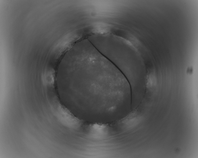 X0000112070570200909151051