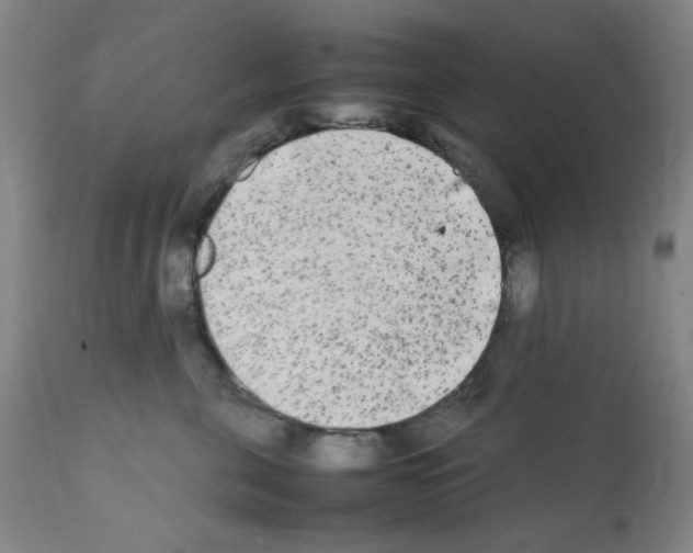 X0000112070571200909151051