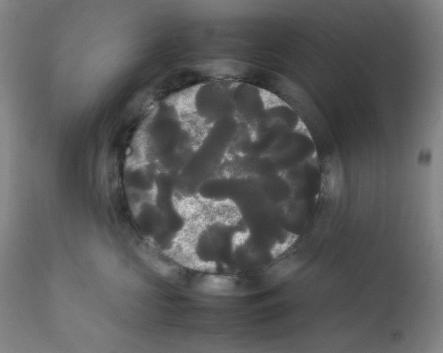 X0000112070573200909151051
