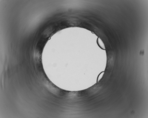 X0000112070574200909151051