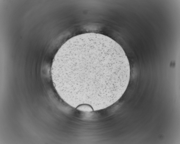 X0000112070575200909151051