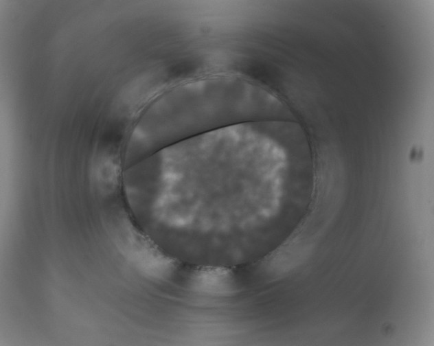 X0000112070576200909151051