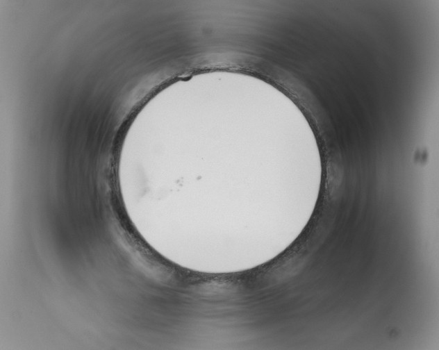 X0000112070578200909151050