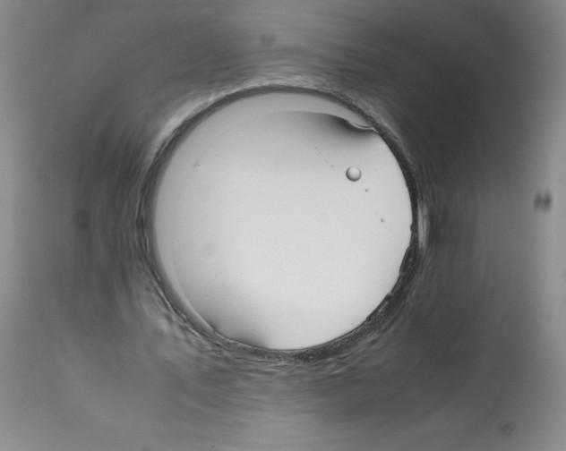 X0000112070579200909151050