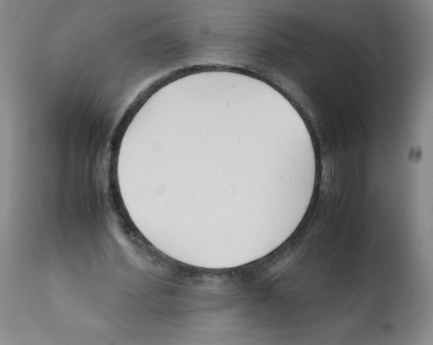 X0000112070580200909151050