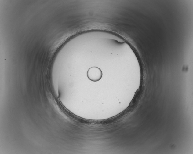 X0000112070581200909151050
