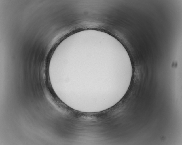 X0000112070582200909151050