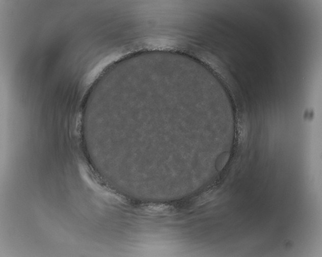 X0000112070583200909151050