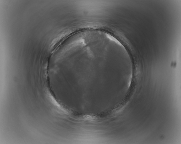 X0000112070585200909151050