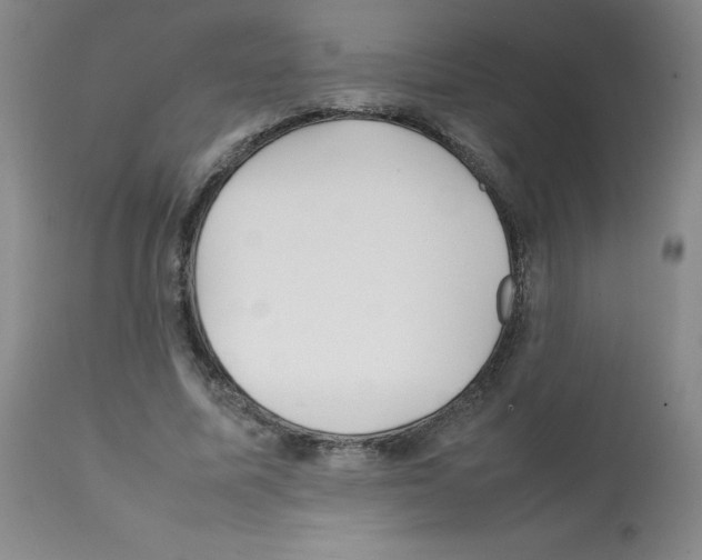 X0000112070587200909151050