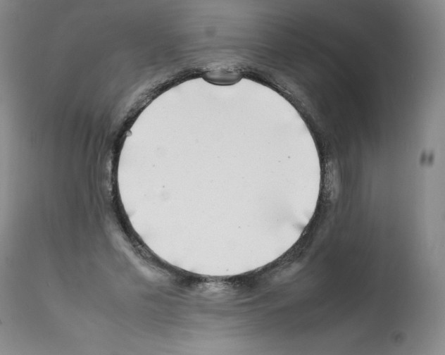 X0000112070589200909151050