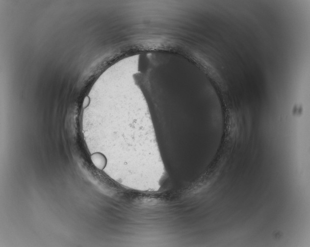X0000112070590200909151050