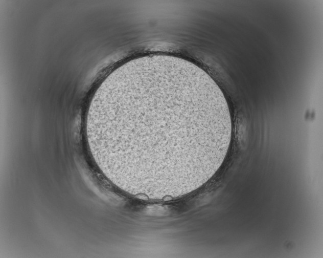 X0000112070591200909151050