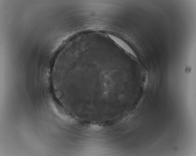 X0000112070592200909151050