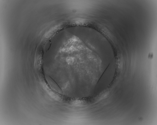 X0000112070593200909151050