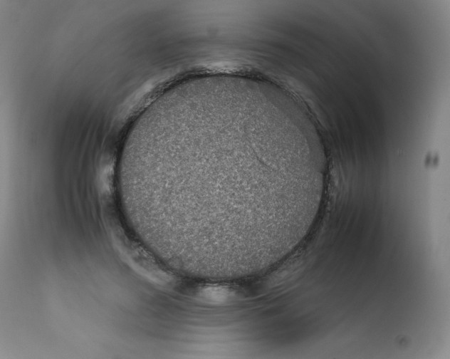 X0000112070596200909151050