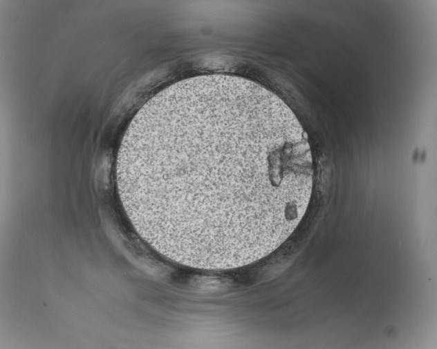 X0000112070597200909151050