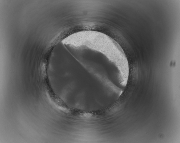 X0000112070598200909151050