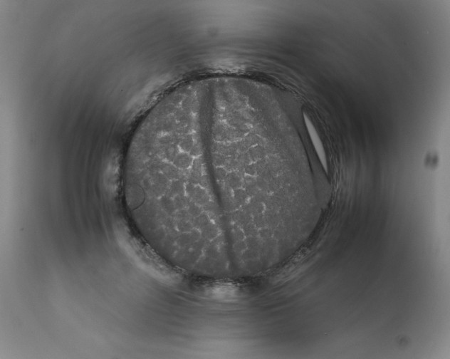 X0000112070600200909151050