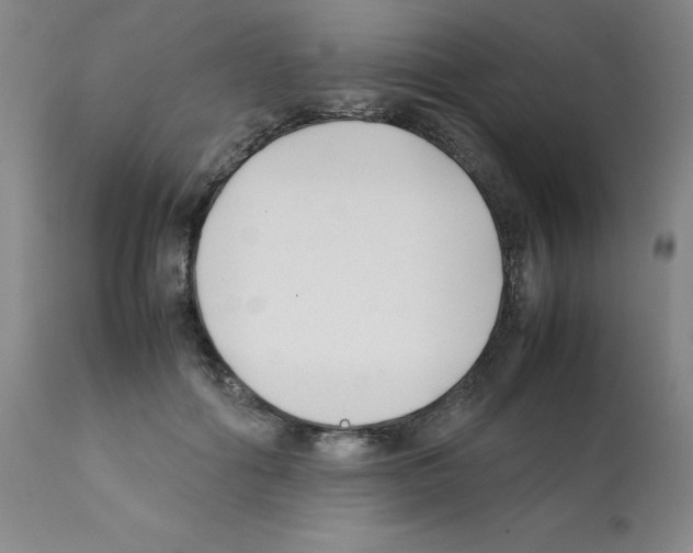 X0000112070602200909151050