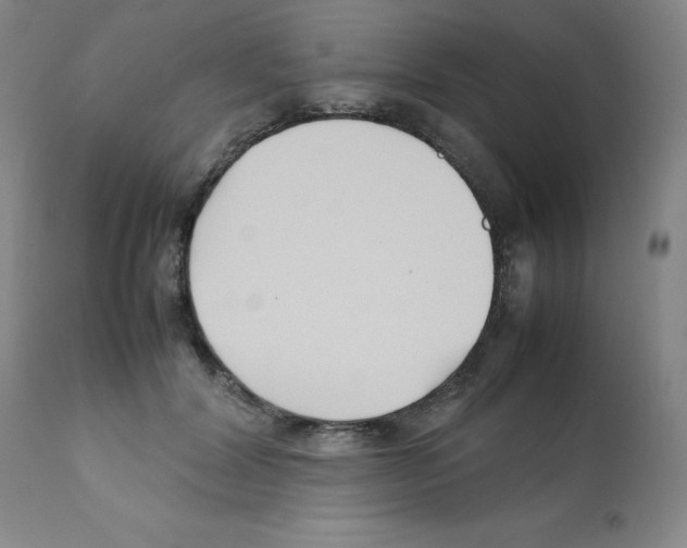 X0000112070604200909151050