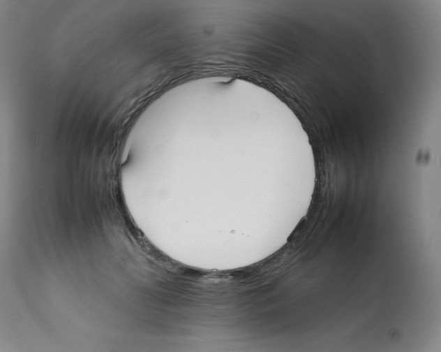 X0000112070606200909151050