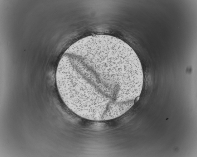 X0000112070609200909151050