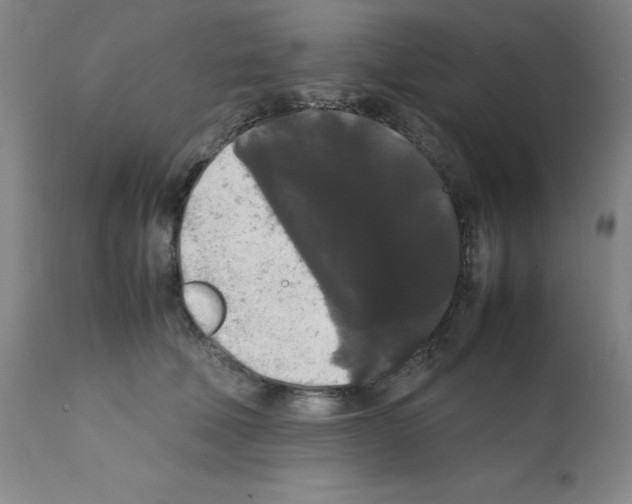 X0000112070610200909151050