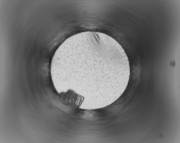X0000112070612200909151050