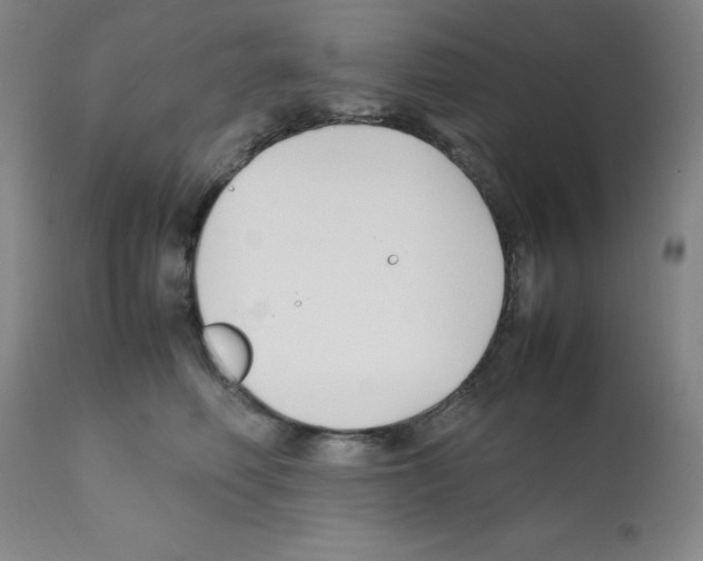 X0000112070614200909151050