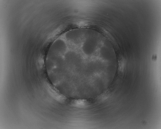 X0000112070618200909151050