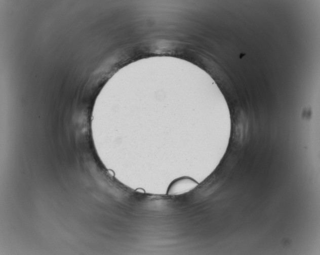 X0000112070620200909151050