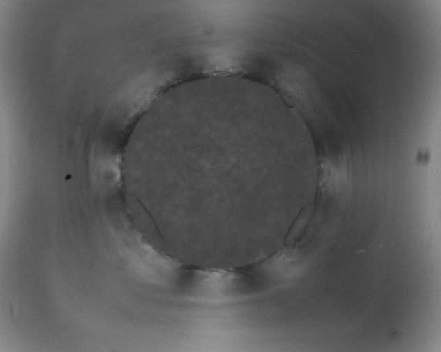 X0000112070621200909151050