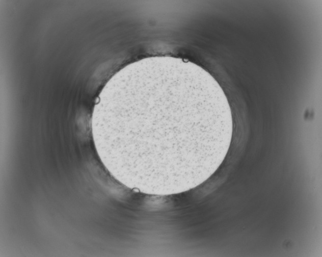 X0000112070624200909151050