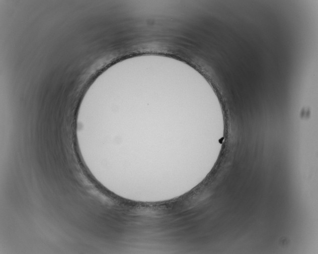 X0000112070625200909151049