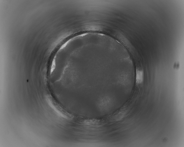 X0000112070627200909151049