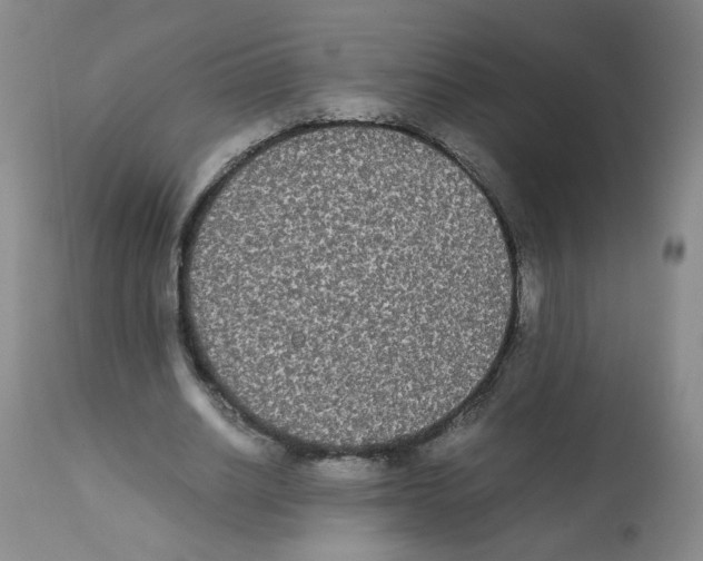 X0000112070630200909151049