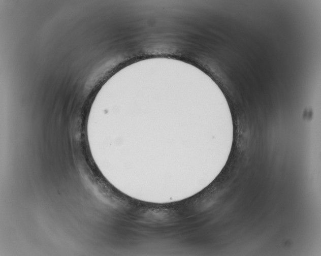 X0000112070631200909151049