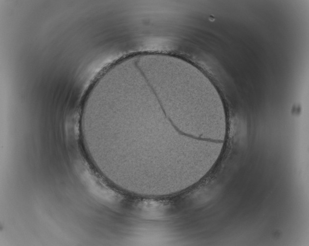 X0000112070632200909151049