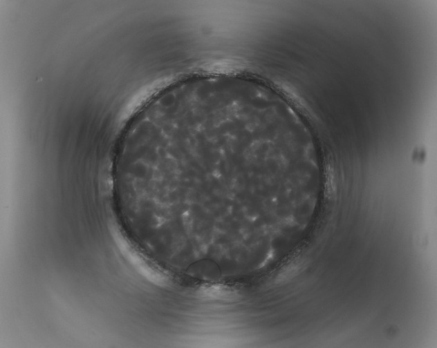 X0000112070634200909151049