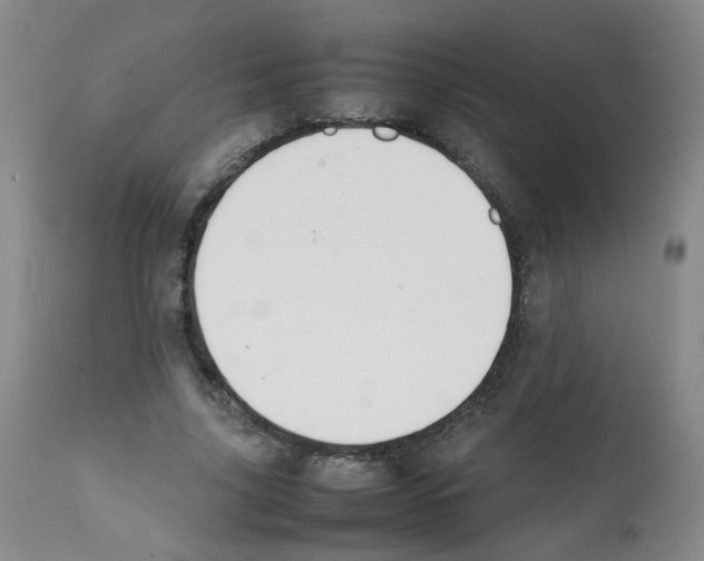 X0000112070635200909151049