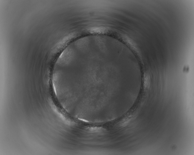 X0000112070637200909151049