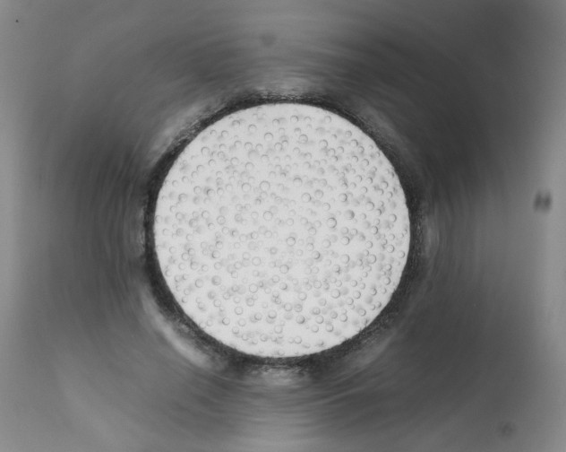 X0000112070638200909151049