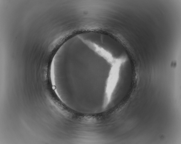 X0000112070640200909151049