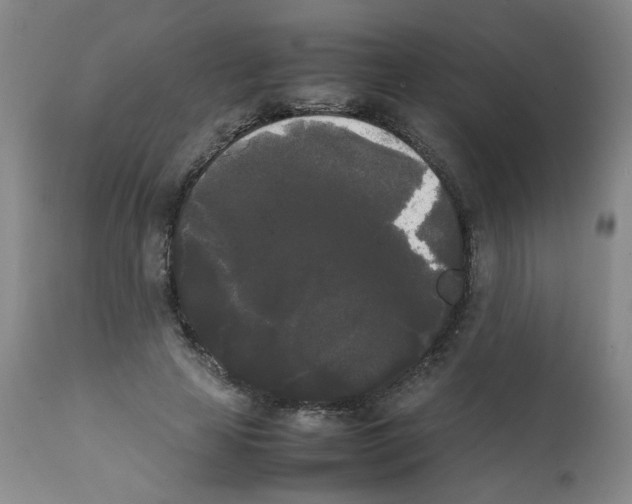 X0000112070641200909151049