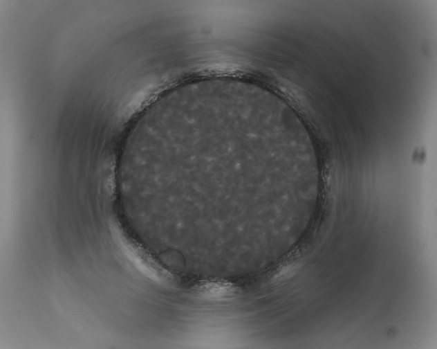 X0000112070642200909151049
