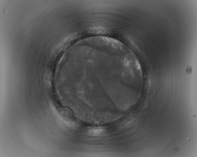 X0000112070643200909151049