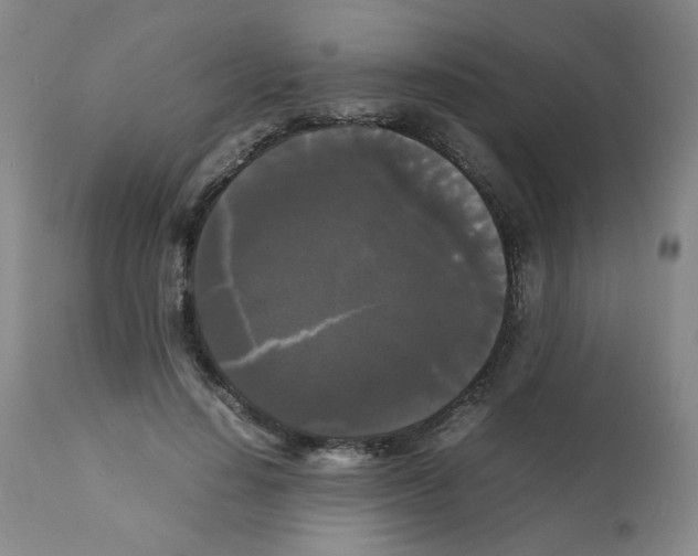 X0000112070644200909151049