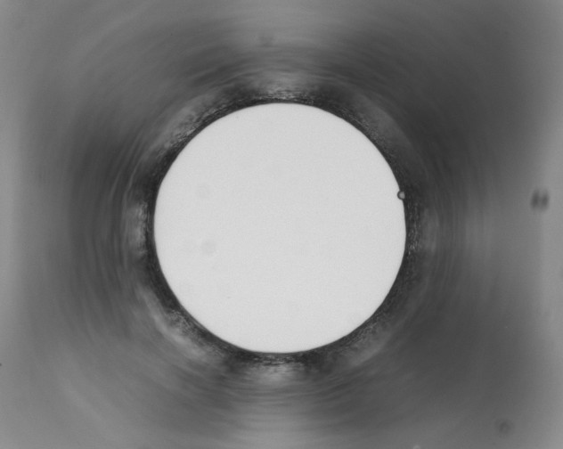 X0000112070646200909151049