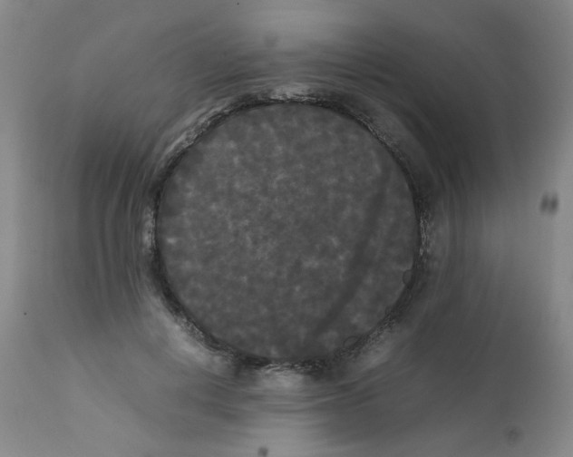 X0000112070648200909151049